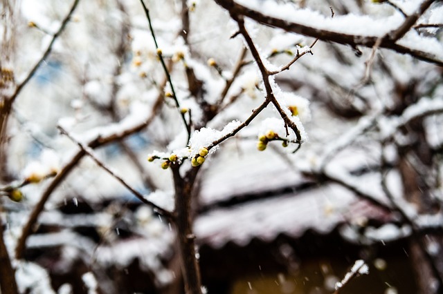 市场