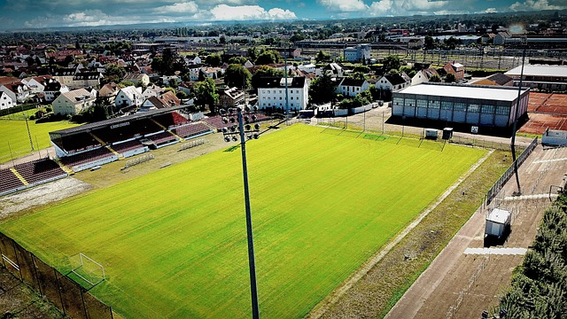 众多游客 众多游客