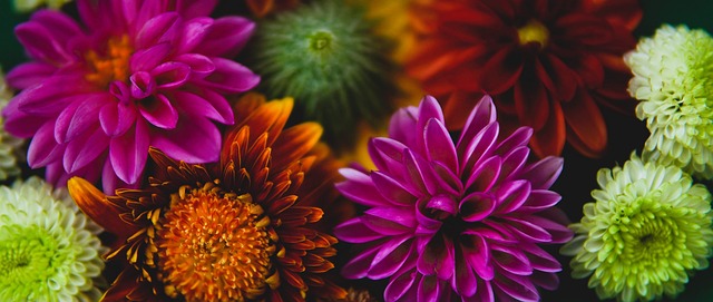 还为其长远 还为其长远