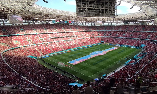 观意大利杯有感7亮9回复.