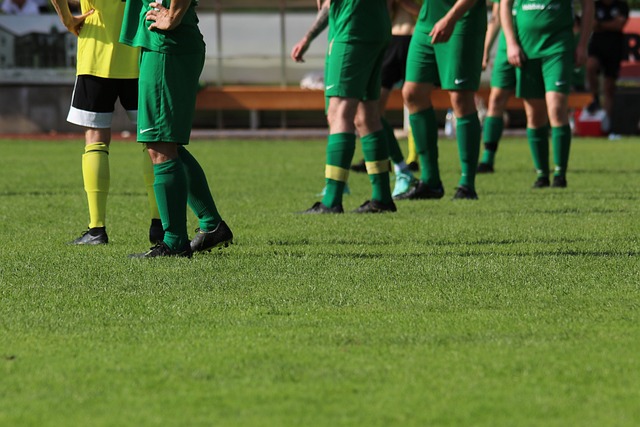 了解与参与 了解与参与