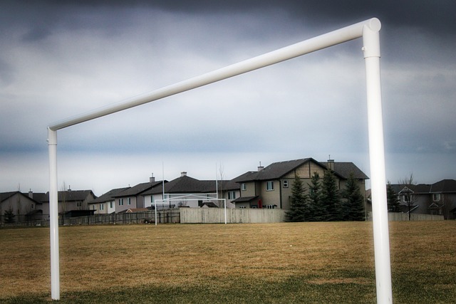 不仅仅是一 不仅仅是一