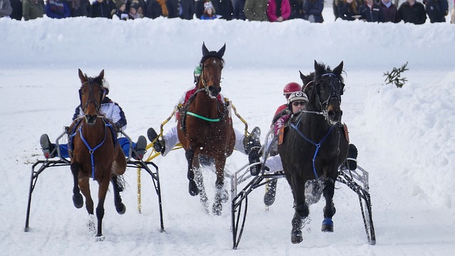 只要不断努 只要不断努