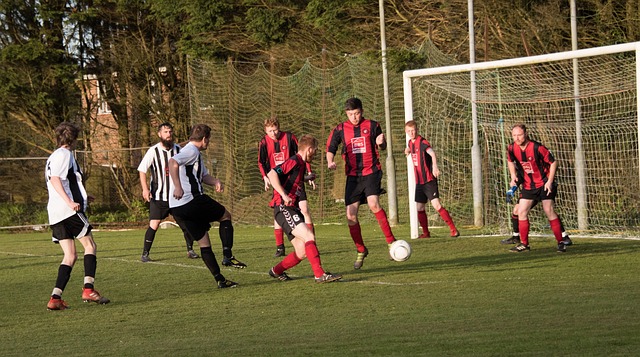 竞争对手的 竞争对手的