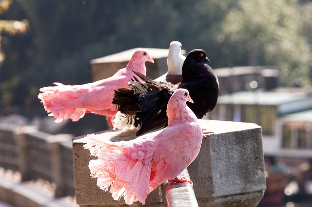 更是对未来 更是对未来