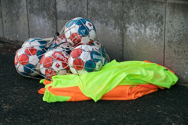 是他的最大 是他的最大