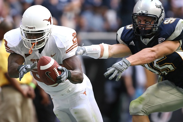 佩古拉的对 佩古拉的对