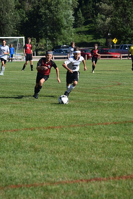 劉國梁的多 劉國梁的多